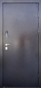 Металлические порошковые двери ДП-8