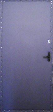 Металлические порошковые двери ДП-8