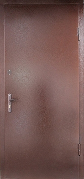 Порошковая дверь ДП-11