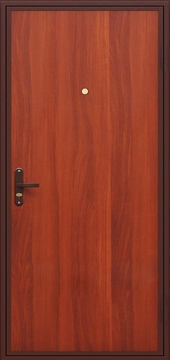 Металлическая дверь с ламинатом ДЛ-6