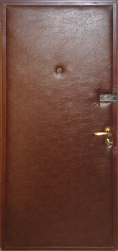 Стальная дверь с винилискожей ДП-13