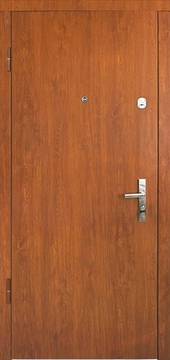 Стальные двери с ламинатом ДЛ-7