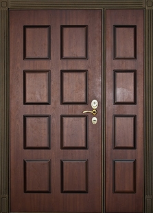 Тамбурная дверь ДТ-16