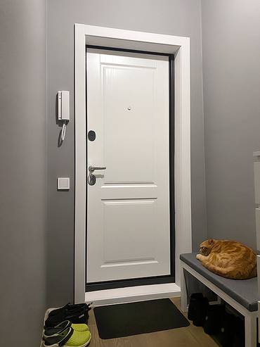 Дверь белого цвета