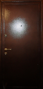 Дверь с порошковым напылением с двух сторон ДП-35