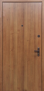 Железная дверь с ламинатом ДЛ-19