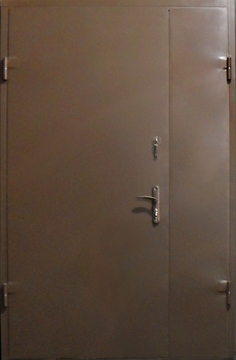 Тамбурная дверь ДТ-5