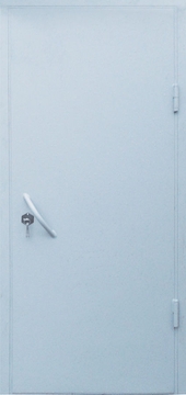 Железная дверь с покрасом НЦ ТД-6