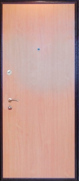 Входные двери с ламинатом ДП-32