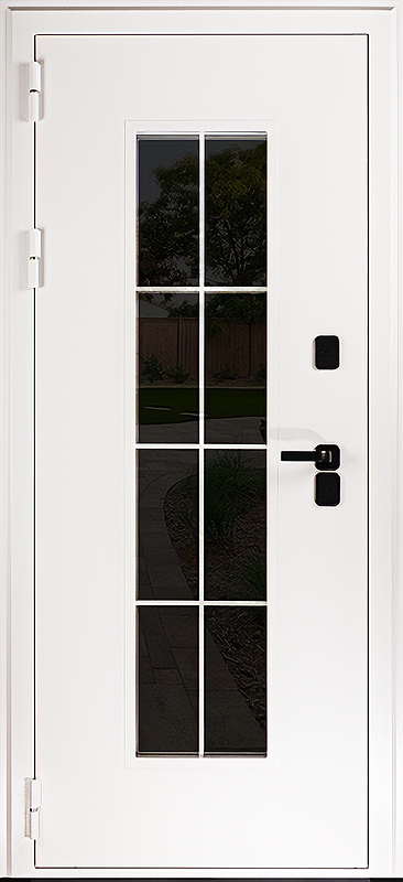 Дверь КД-679